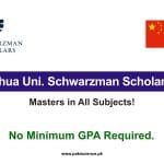 Tsinghua Uni. Schwarzman Scholarships