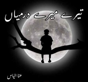 Tere Mere Darmiyan Novel by Ana Ilyas Complete