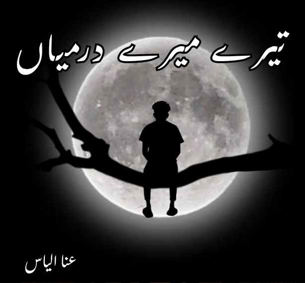 Tere Mere Darmiyan Novel by Ana Ilyas Complete