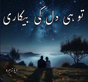 Tu Hi Dil Ki Bekarari Novel By Dia Zahra Complete