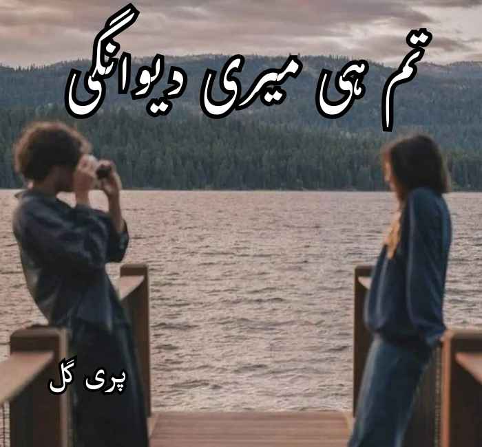 Tu Hi Meri Deewangi Novel By Pari Gull Complete